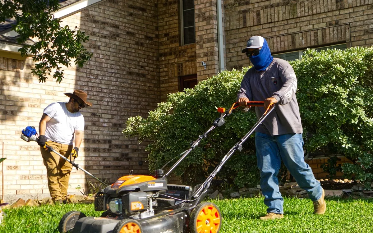 Property services